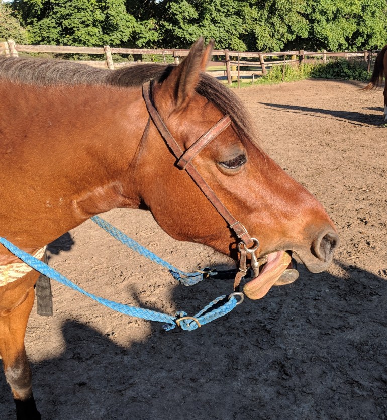 Maker:S,Date:2017-10-16,Ver:6,Lens:Kan03,Act:Lar02,E-Y