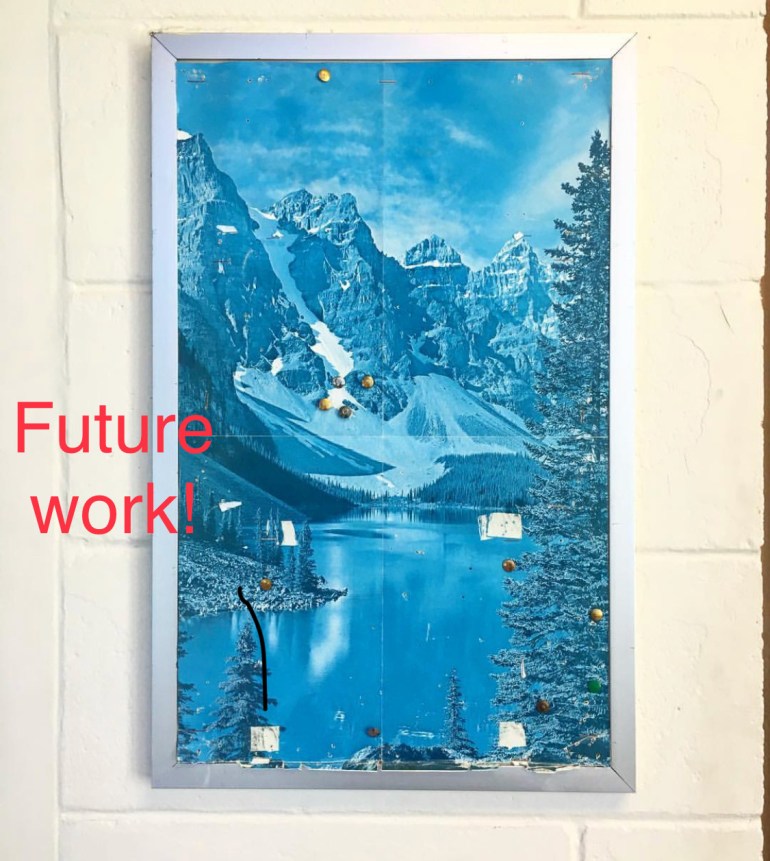 photo manuals_cat photos_travel images.JPG